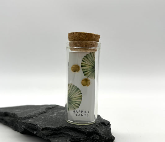 18k Plated Gold Fan Palm Earrings