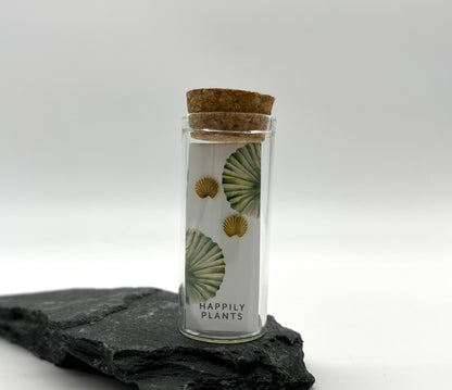 18k Plated Gold Fan Palm Earrings