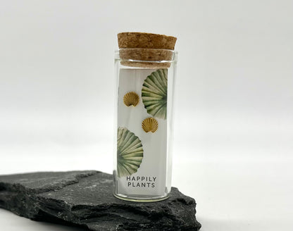 18k Plated Gold Fan Palm Earrings