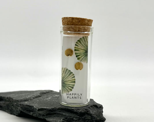 18k Plated Gold Fan Palm Earrings