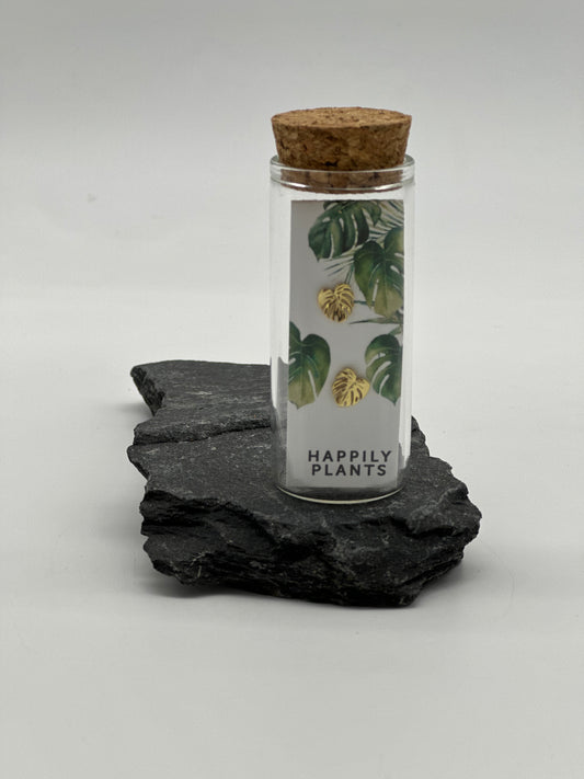 18k Plated Gold Monstera Leaf Stud Earrings